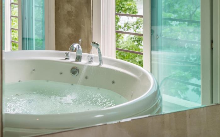 Gapyeong Nami Island Pet-Friendly Spa Pe