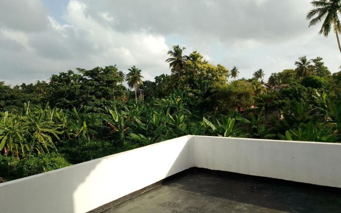TROPICAL SUITES