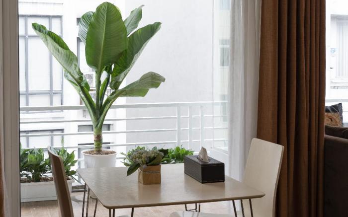 Nesta Serviced Apartment 13 Bui Thi Xuan