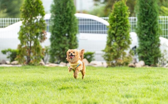Yangsan Yeonhuijae Pet-friendlyPool Villa