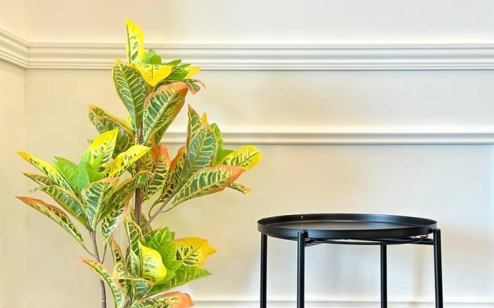 Delightful SeaviewStudiounitatR&FSeineRegionByANJU