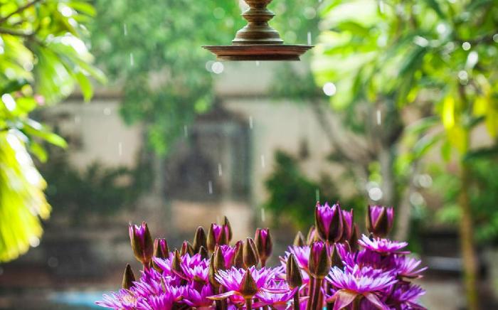 The Galle Fort Hotel