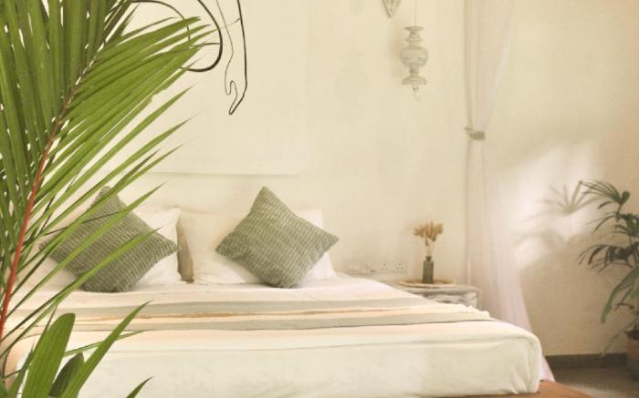 The Monkey Villa