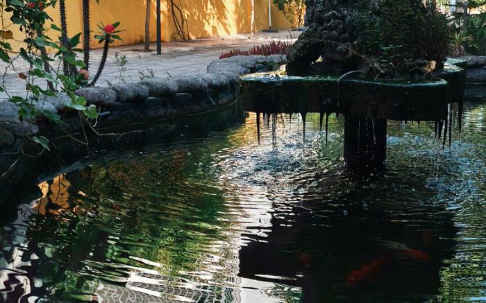 Long Homestay Mỹ Hạnh Tây Ninh