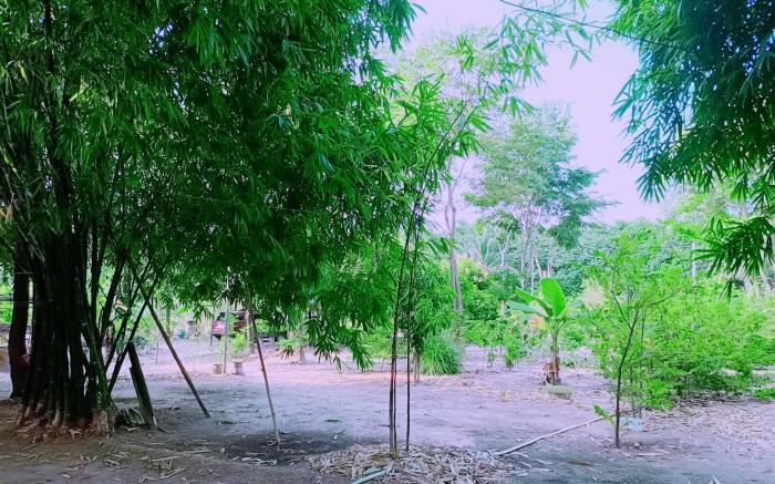 Our Garden Camp (สวนบ้านเราแคมป์)