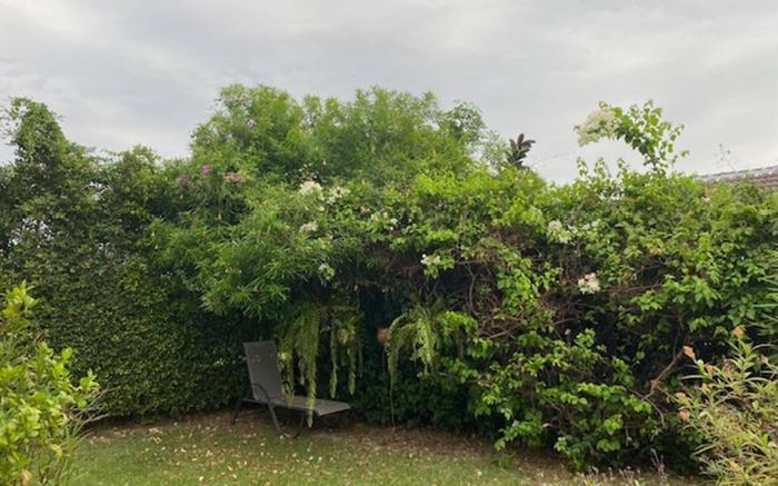 Hidden Villa Oasis Private Pool 2km to BeachMall