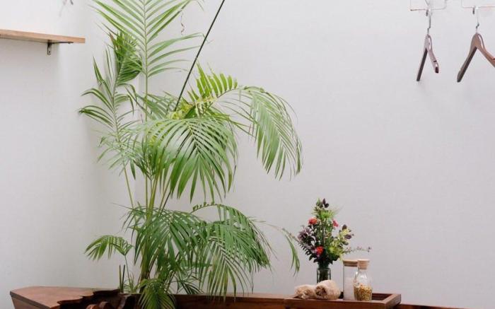 NEVERLAND de PAPILLONS - GARDENIA ROOM