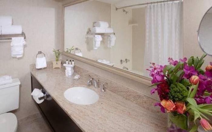 Embassy Suites by Hilton Dallas Love Field