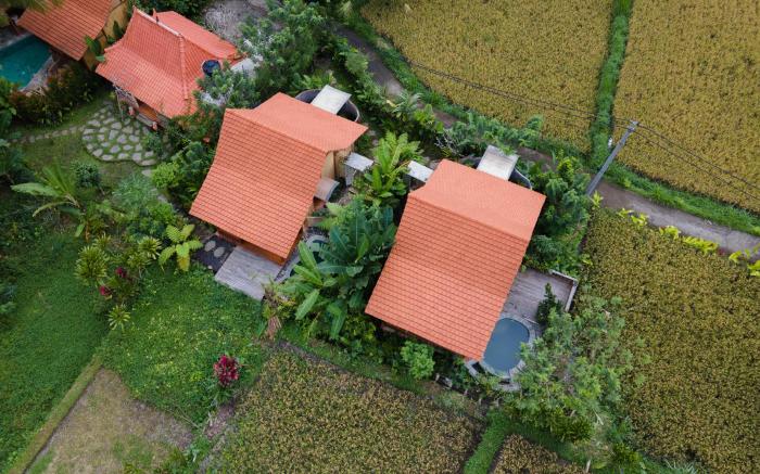 Nava Prana Villas by Pramana Villas