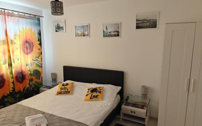 HANA Apartament