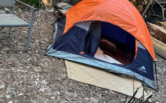 CM Mindfulness Campamento & Retiros