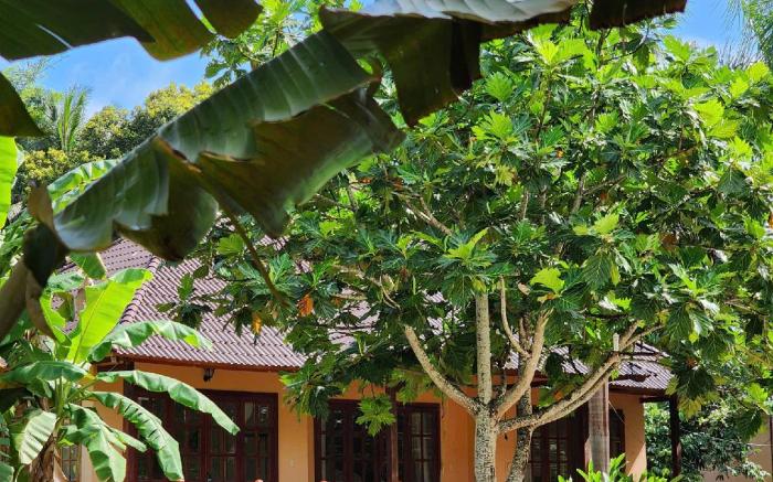 Sunrise Resort Phú Quốc