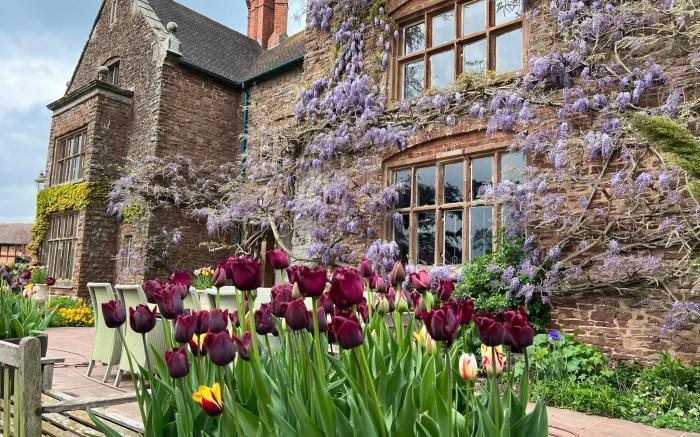 Uplands Guest House