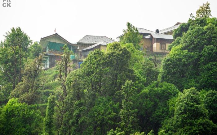 LiveAway Dharamkot by PACK