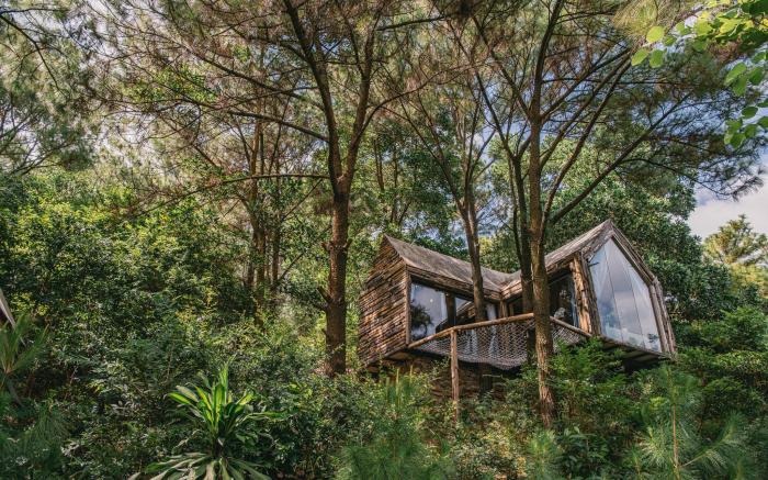 The Big Pine House