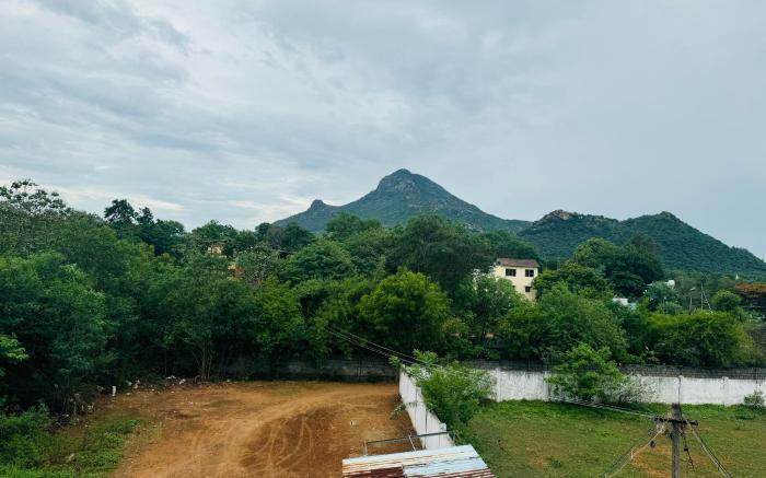 UM Homestay