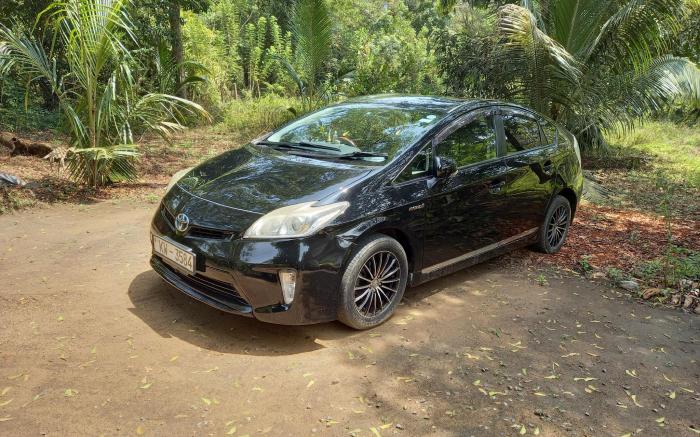 Silent Peacock Villa And Peacock Cafe