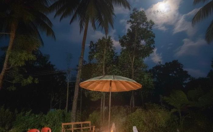 Dreamland Vintage Homestay 