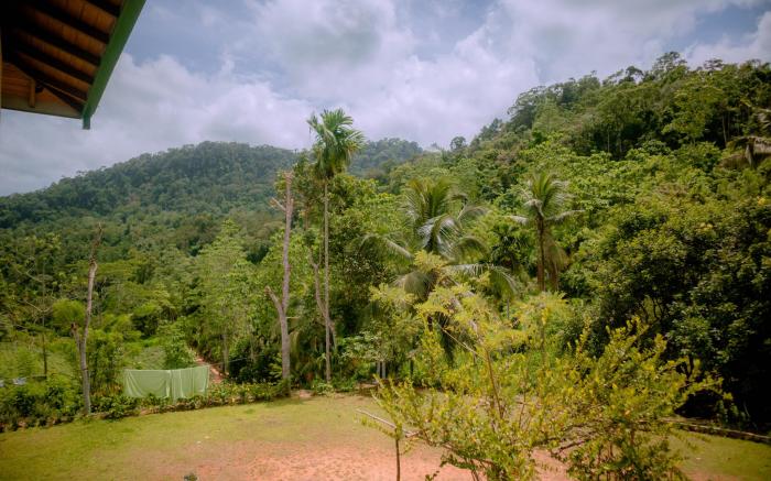 Evergreen Villa - Sinharaja