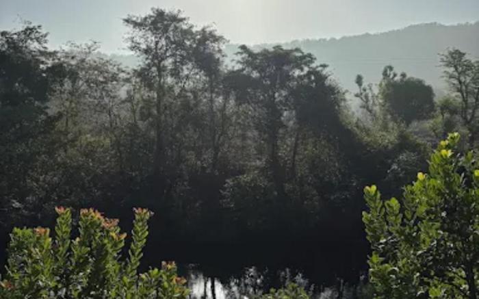 Desai's Mango Retreat