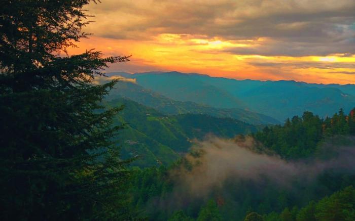 Sunrise Homestay Stay