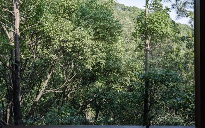 Return to the Mountain B&B - Chongqing Nanshan