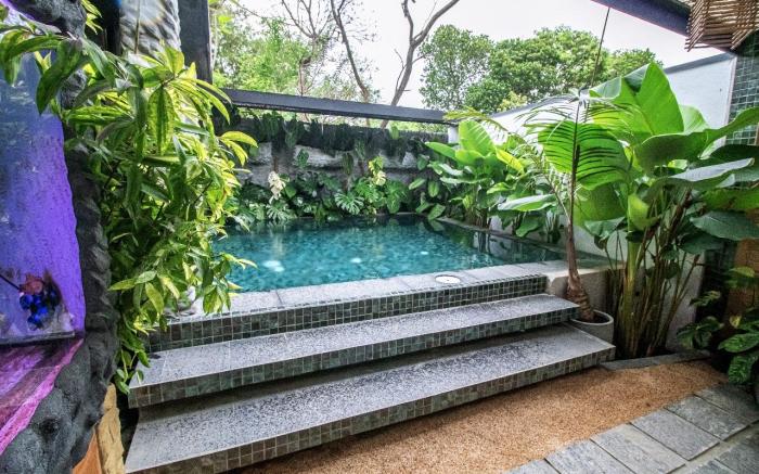 Calathea inn Unawatuna. 