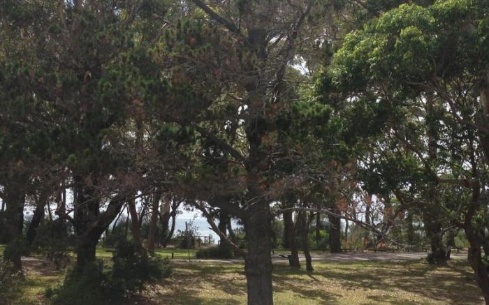 Jervis Bay Mariners