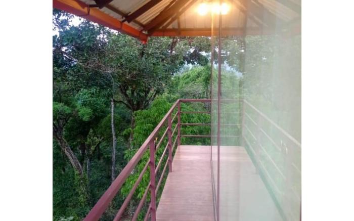 Tranquil Glass House By Coorg tree house