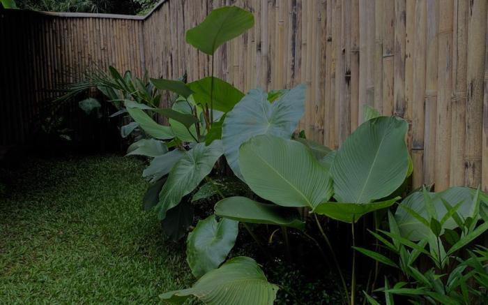 Hidden Bamboo Village