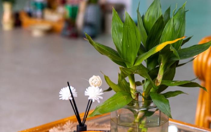 Cy Home - Trạm Dừng Chân