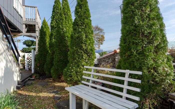 제주 브로콜리 민박