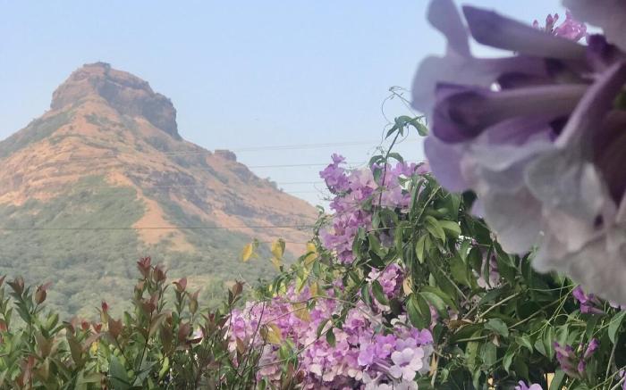 Luxury Glass House @ Pawna Lake