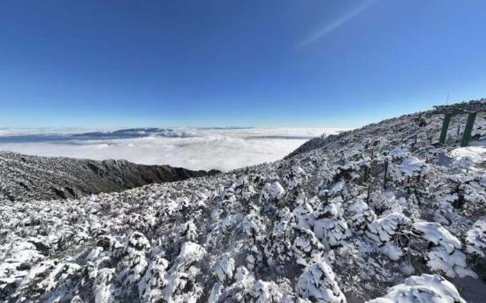 Flower Love - Dali Villa Smart B&B Ancient City Branch