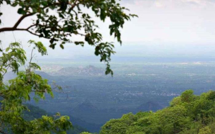 Fateh Safari Resort by Fateh Collection