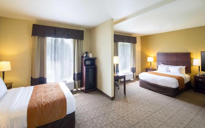 Comfort Suites Airport South