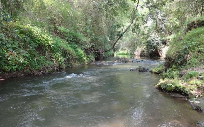 River Valley Resort Masinagudi