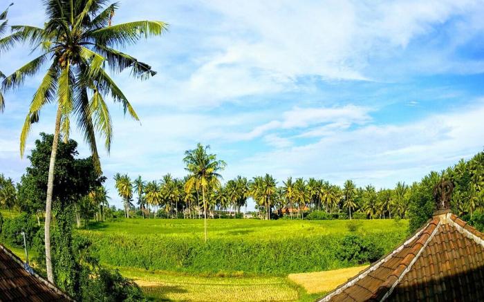 Lasan Mas Guesthouse