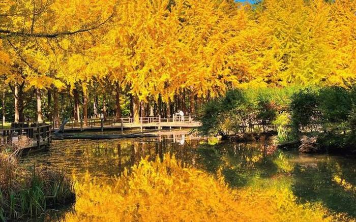Nami Island Hotel Jeonggwanru