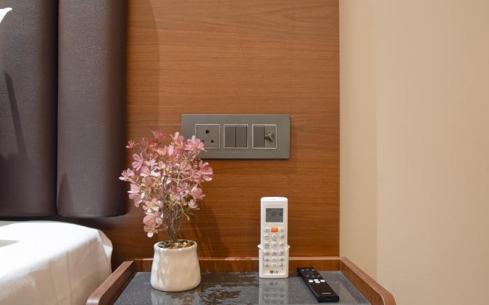 Saltstayz Premier - Naraina, Central Delhi