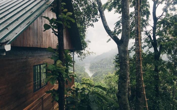 Tulsi village Retreat Treehouses & Cabin stays 