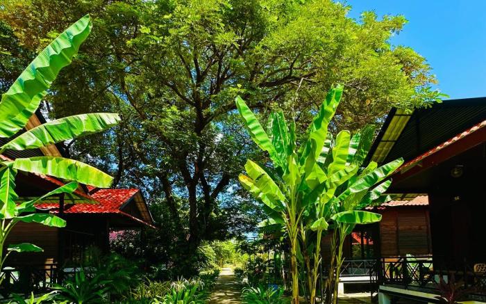 Densy Angkor Bungalow