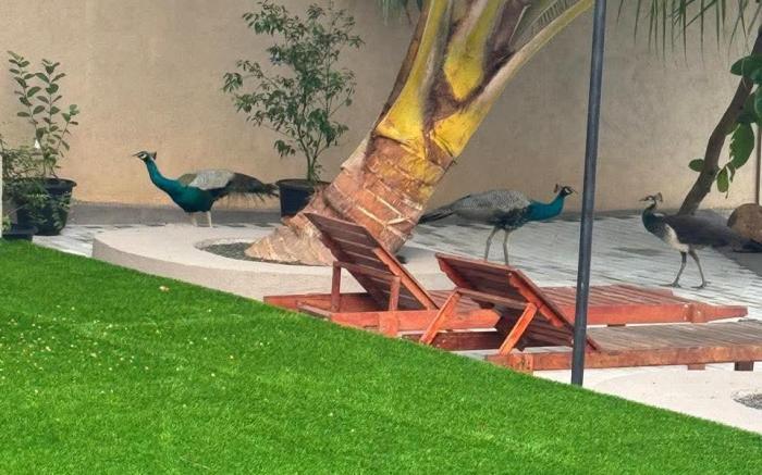 AQUA LEISURE RESORT BENTOTA