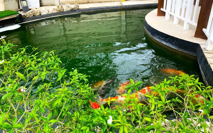 Royal Oceancrest Panglao 1 Sunset View Condo Unit