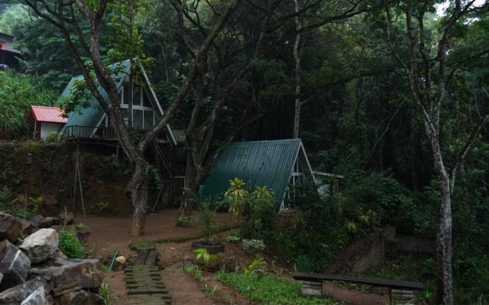 Tree Nature Resort (Sisila Ima)