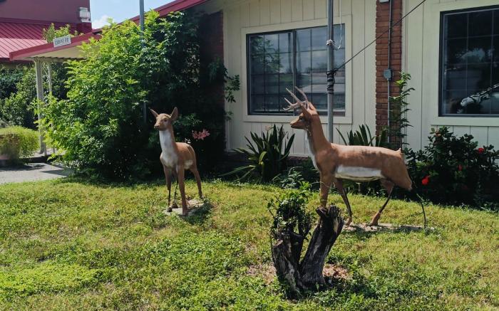 Pen Ann by Capital O Pharr/McAllen TX