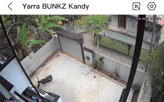 Yarra BUNKZ Kandy