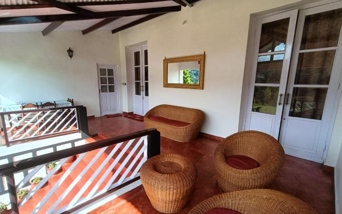 White Fern, Jungle View Stay
