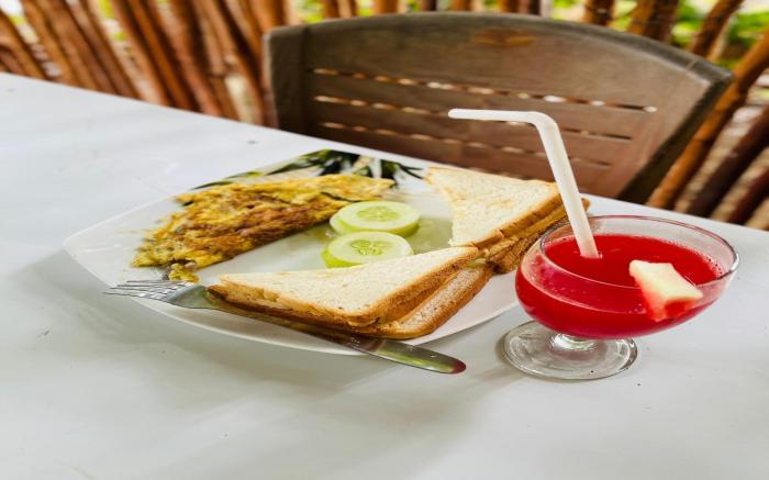 Gajaa Corido Safari Homestay