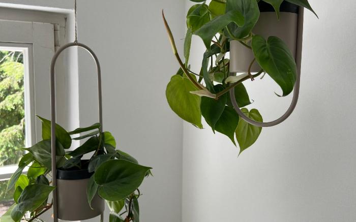 Stadt Villa Boutiquehotel